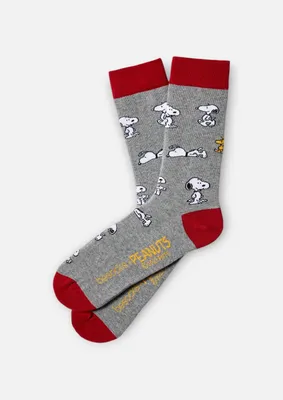 Produktbild von BeSocks Bio-Baumwollsocken - BeSnoopy grau 36-40