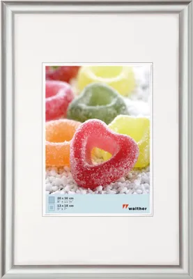 Produktbild von Walther Trendstyle Kst. 15x20 SILBER KP520S