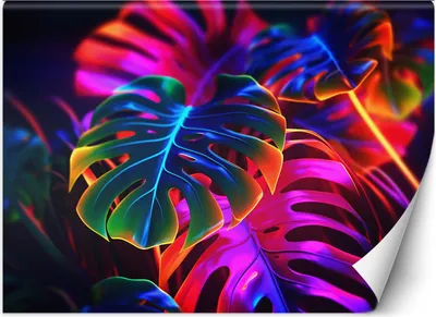 Produktbild von Vlies fototapete Monstera Blätter fluoreszierend 350x245 cm Feeby Bunt inkl. Kleber einfache Montage
