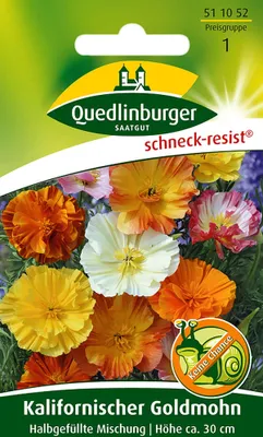 Produktbild von Quedlinburger Kalifornischer Goldmohn Halbgefüllte Mischung - Blumensamen
