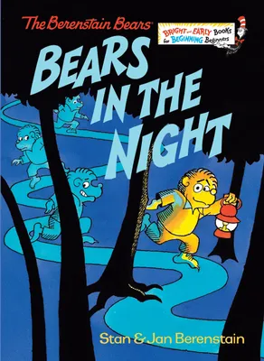 Produktbild von Bears in the Night
