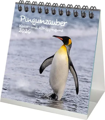 Produktbild von Pinguinzauber Kaiserpinguine Tischkalender 10cm x 10cm für 2026 Pinguin - Geschenkset Inhalt: 1x Kalender 1x Weihnachtsanhänger 1x Grußanhänger (gesamt 3 Teile)