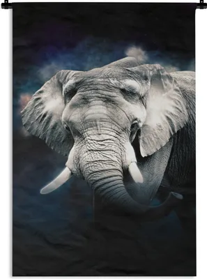 Produktbild von MuchoWow® Wandteppich Wandbehang Elefant - Schwarz - Rauchen 60x90 cm Tapisserie Dekoration Wandtuch - Foto-Teppich - Abwaschbar