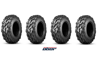 Produktbild von Satz 2x 25x8-12 + 25x10-12 RIPLE OBOR 25x10.00-12 Reifen für Quad Geländereifen