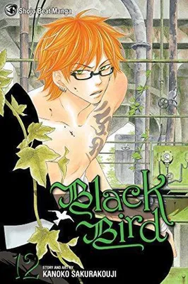 Immagine prodotto di Black Bird, Volume 12