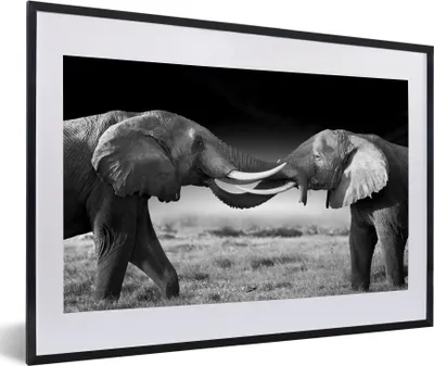 Produktbild von MuchoWow® Gerahmtes Poster Elefant - Tiere - Schwarz und weiß - Porträt - Landschaft 60x40 cm - Poster mit Schwarzem Bilderrahmen Wandposter Rahmen Foto Bilder - Schlafzimmer - Plakat in Rahmen - Drucken