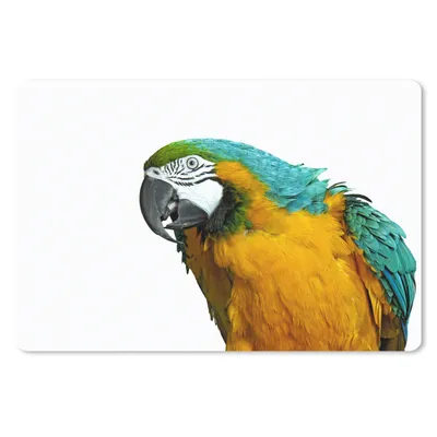 Produktbild von MuchoWow® Mauspad Mousepad Papagei - Vogel - Federn - Porträt 27x18 cm - Mousepads - Maus Mat - Pad - Mausunterlage - Büroartikel - Desk Matten