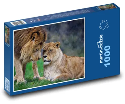 Produktbild von Puzzle 1000 Löwe und Löwin - Tiere, Afrika - martinpuzzle
