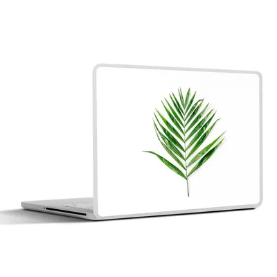 Produktbild von MuchoWow® Laptop Aufkleber Sticker Cover Grün - Blatt - Tropisch 36.5x27.5 cm - Laptop-Sticker