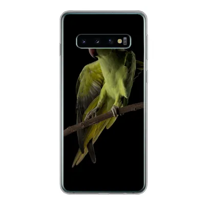 Produktbild von MuchoWow® Handyhülle Schutzhülle Hülle für Samsung Galaxy S10 Papagei - Vogel - Zweig Silikon Softcase Handy Hülle