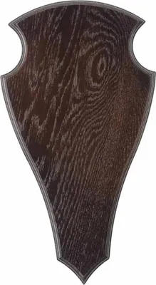 Produktbild von Eurohunt 2 Trophäe Braun 52 x 26 cm Braun 52 x 26 cm