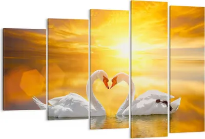 Produktbild von Bild auf Leinwand - Leinwandbild - Schwan Wasser Paar - 150x100cm - Wand Bild - Wanddeko - Leinwanddruck - Bilder - Kunstdruck - Wanddekoration - Leinwand bilder - Wandkunst - EG150x100-3872