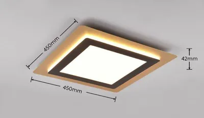 Obrázek produktu pro TRIO 641510280 MORGAN stropné svietidlo SMD LED 450x450mm 46W/6000lm 2700-6500K zlatá, ?ierna, stmievate?né, dia?kový ovláda?