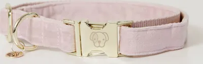 Immagine prodotto di Kentucky Dogwear Collare per cani in velluto rosa chiaro XL