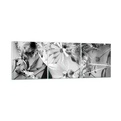 Produktbild von Bilder auf glas - 3 Teile - Blumen Schwarzweiß Fotografie - 150x50cm - Glasbilder - Wandbilder - Bilder - Wanddekoration aus Glas - Glas Bilder - Wandbild auf Glas - GCA150x50-4740