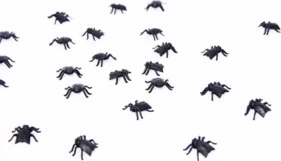Produktbild von Dekoration Fliegen für Halloween 24 Stück schwarz - Einheitsgröße