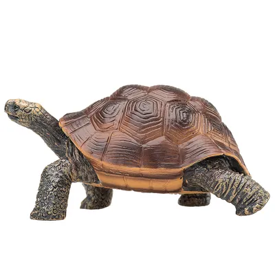 Obrázok produktu pre Mojo Fun Giant Tortoise, 3 rok / roky, Wildlife, Hnedá, Polyvinylchlorid (PVC)
