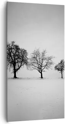 Produktbild von Bild auf Leinwand - Leinwandbild - Einteilig - Winter Bäume Schnee - 65x120cm - Wand Bild - Wanddeko - Wandbilder - Leinwanddruck - Bilder - Wanddekoration - Leinwand bilder - Wandbild - PA65x120-4958