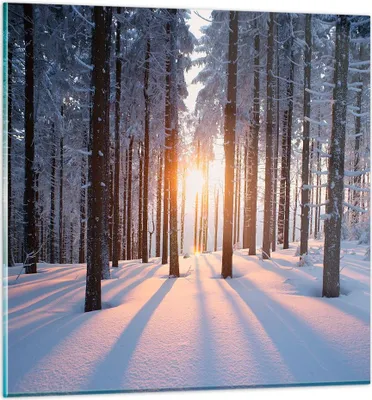 Produktbild von Bilder auf glas - Wald Winter Schnee - 40x40cm - Glasbilder - Wandbilder - Kunstdruck - zum Aufhängen bereit - Wanddekoration aus Glas - Glas Bilder - Wandbild auf Glas - Einteilig - GAC40x40-3629