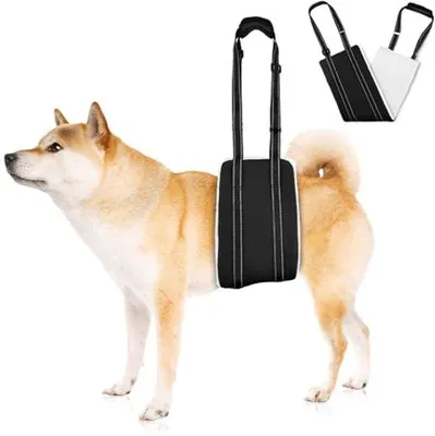 Produktbild von Ultiluxe Hunde-Hebehilfe - Hunderucksack für Hinterbeine - Aufzugsharnisch - Größe M - Mobilitätshilfe - Verstellbar - Schwarz