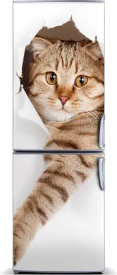 Produktbild von Tulup Kühlschrankdekoration - Magnetmatte - 60 cm x 180 cm - Magnet auf dem Kühlschrank - Katze