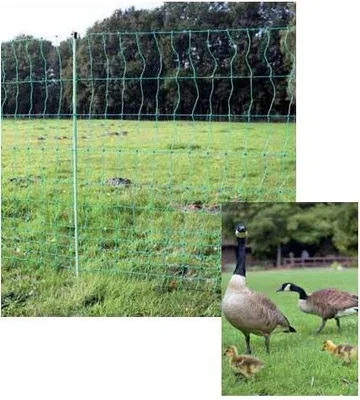 Produktbild von Euro-Net Combi Pluimvee 112 cm ZS dubbelpunt