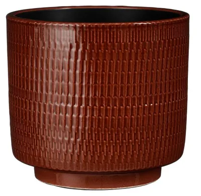 William Topf rond Braun