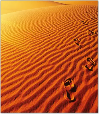 Produktbild von Wallario Herdabdeckplatte aus Glas, Größe 52 x 60 cm 1-teilig, Motiv Fußspuren im Sand - Sanddüne in der Wüste