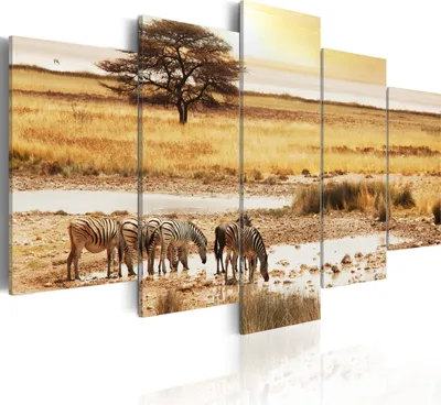 Produktbild von Modernes Wandbild 030213- 18 (100x50) - 5 Teilig Bilder Fotografie auf Vlies Leinwand Foto Bild Dekoration Wand Bilder Kunstdruck Afrika