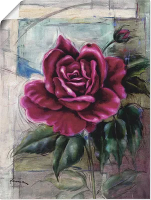 Produktbild von ARTland Poster Rose II Größe: 30x40 cm
