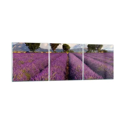 Produktbild von Bilder auf glas - Landschaft Wiese Pflanzen - 150x50cm - Glasbilder - Wandbilder - Kunstdruck - zum Aufhängen bereit - Wanddekoration aus Glas - Glas Bilder - Wandbild auf Glas - GCA150x50-0128
