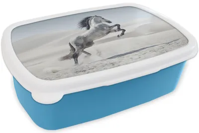 Produktbild von KitchenYeah® Lunchbox Brotzeit Brotdose 17x11 cm Pferd - Tiere - Sand - Natur Kinder Brotzeitdose - Lunch - Kunststoff  - Brotbüchse - Sandwichbox - Lunchbox für Kinder