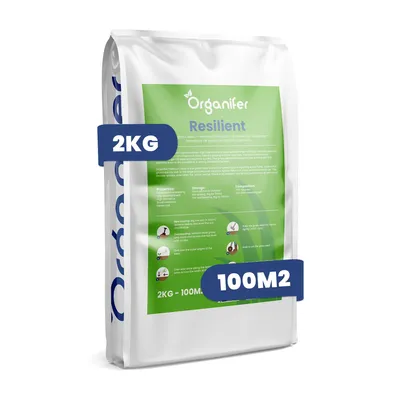 Zdjęcie produktu dla Nasiona do naprawy trawnika 2 kg na 100 m² – Szybkie dosiewanie i odnowa trawnika – Gęsty, wytrzymały trawnik – Profesjonalne nasiona – Organifer