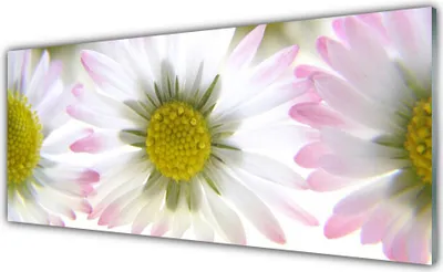 Produktbild von Acrylglasbilder 125x50 Wandbild Druck Gänseblümchen Pflanzen