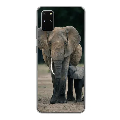 Produktbild von MuchoWow® Handyhülle Schutzhülle Hülle für Samsung Galaxy S20 Plus Elefant - Tiere - Flachland - Natur Silikon Softcase Handy Hülle - Hartschale