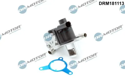 Produktbild von DR.MOTOR AUTOMOTIVE DRM181113 AGR-Ventil für RENAULT Clio III Schrägheck (BR0/1, CR0/1) Abgasrückführungsventil