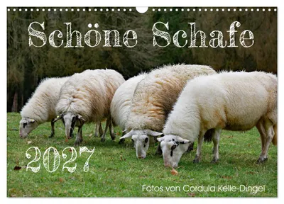 Produktbild von Schöne Schafe (Wandkalender 2027 DIN A3 quer), CALVENDO Monatskalender