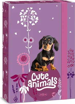 Obrázek produktu pro Ars Una Box na sešity Cute Animals - štěně A4