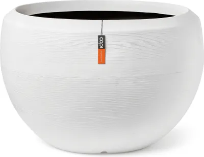 Produktbild von Capi Europe  - 177x120 -