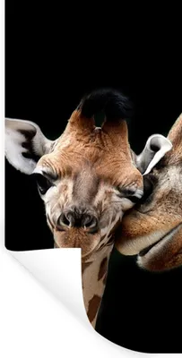 Produktbild von MuchoWow® Wandtattoo Wandsticker Wandaufkleber Giraffe - Tiere - Schwarz - Porträt - Tiere 80x160 cm Selbstklebend und Repositionierbar - Sticker - Dekorfolie