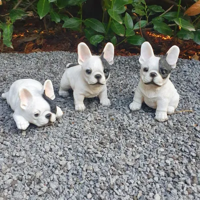 Produktbild von Gartenfigur Französische Bulldogge Welpen Figur 3er Set 13 cm