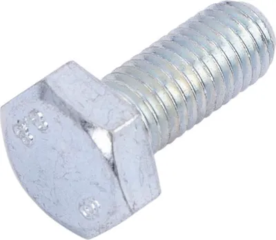 Image de Vis d'échappement argent M10 x 25 mm