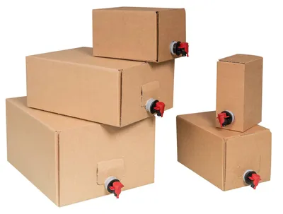Produktbild von 10x Bag in Box 10 Liter - Karton und Beutel im Set