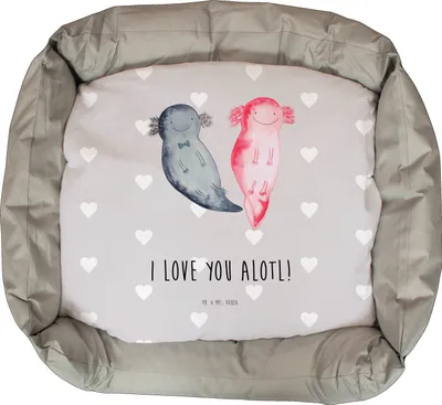 Produktbild von Mr. & Mrs. Panda Katzenbett Axolotl Liebe - Grau Pastell - Geschenk, Hochzeitstag, Katzenkorb, für Frauen, Freundin, Katzenschlafplatz, Katzenkissen, Valentinstag