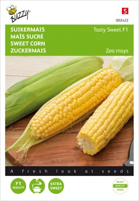 Produktbild von Zuckermais Tasty Sweet F1 | Maissamen von Buzzy Seeds