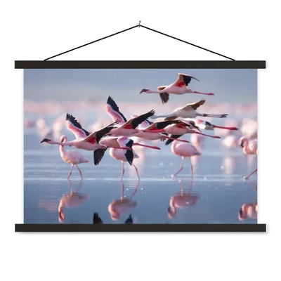 Produktbild von MuchoWow® Textilposter Flamingo - Vogel - Wasser - Rosa 60x40 cm mit schwarzem Rahmen - Hölzernes
