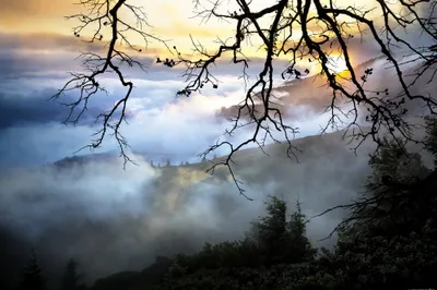 Produktbild von Sonnenaufgänge Kunstdruck Bild -œber den Wolken (120 x 180 cm)