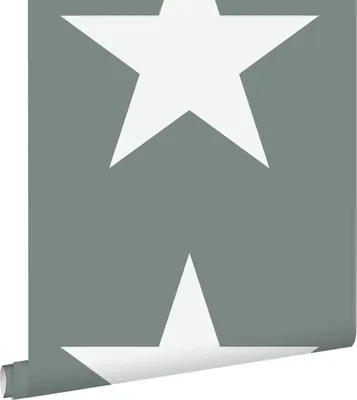 Immagine prodotto di ESTAhome carta da parati stelle verde grigiastro 53 cm x 10.05 m