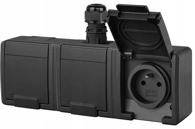 Image de Prise Électrique Étanche Elektro-Plast Nasielsk Noire 5043-67