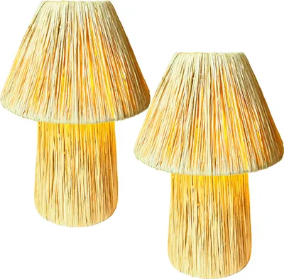 Image de Marrakech Set de 2 lampes de table de chevet 40cm en raphia | Lampe Boho Lampadaire comme décoration de salon chambre à coucher ou chambre d'enfant | Lampe de table Morjan Beige Douille E27
